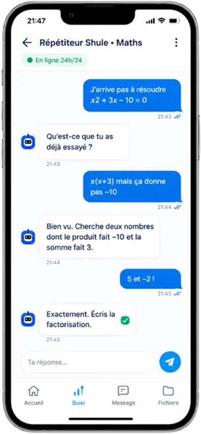 Conversation avec le répétiteur Shule : il pose des questions et donne des indices sans donner la réponse